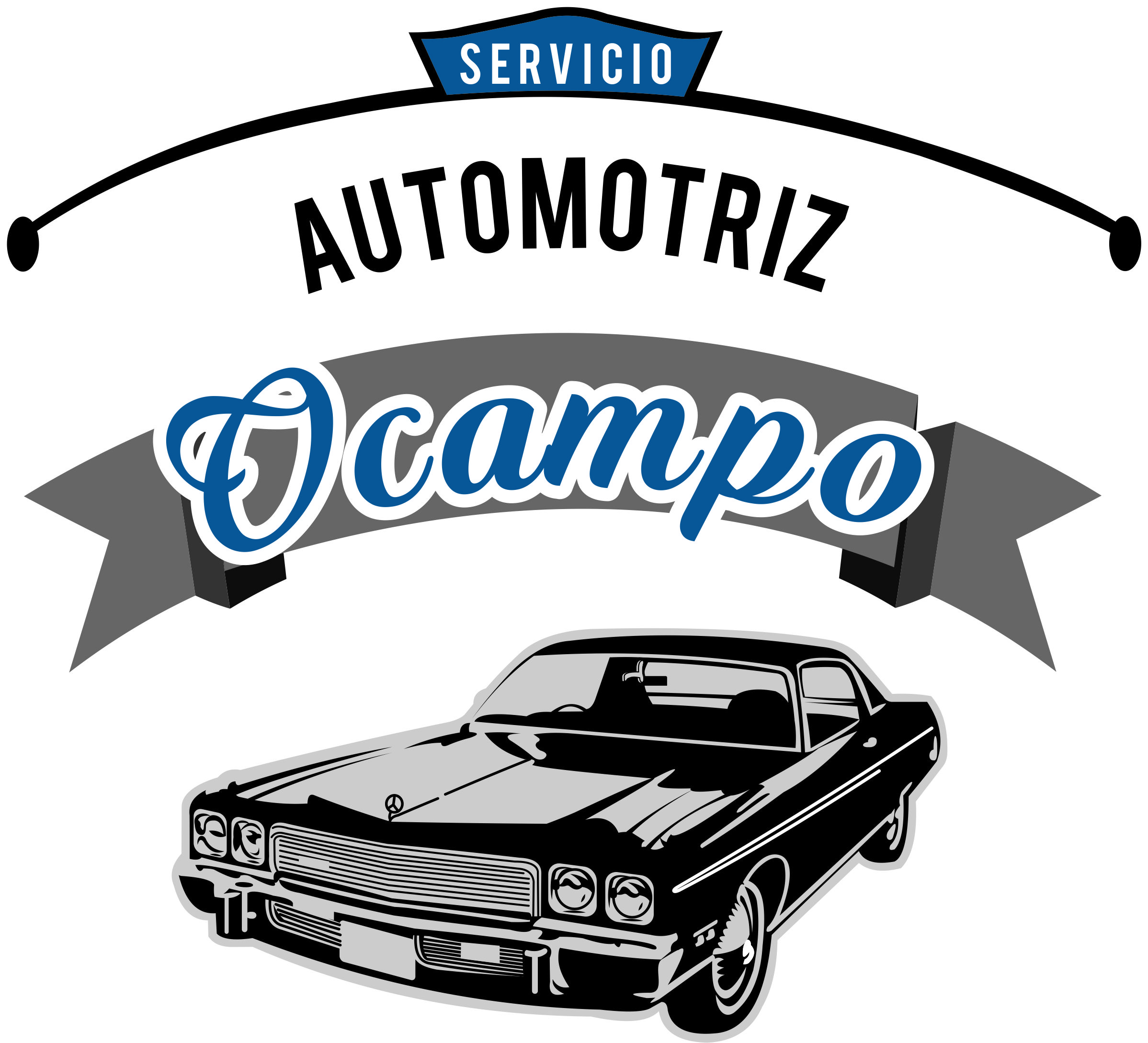 automotrizocampo.com